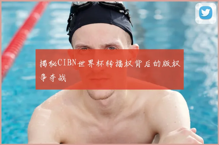 揭秘CIBN世界杯转播权背后的版权争夺战