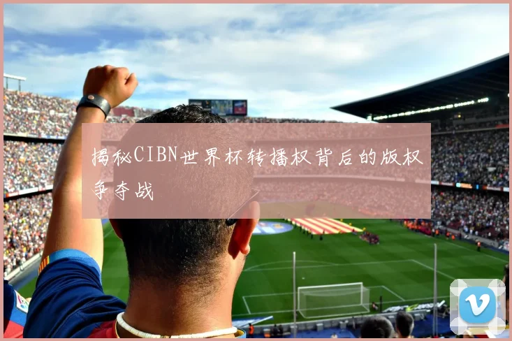 揭秘CIBN世界杯转播权背后的版权争夺战