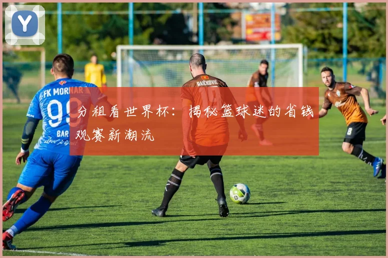 分租看世界杯：揭秘篮球迷的省钱观赛新潮流