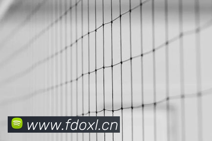 开云官方在线入口平台生态图